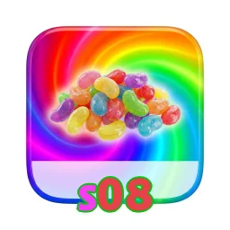 s08